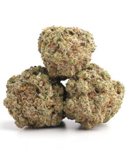 Gorilla Glue